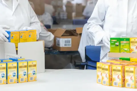 Pracownicy w białych fartuchach zajmują się konfekcjonowaniem herbaty. Widać pudełka z rumiankiem i zieloną herbatą.