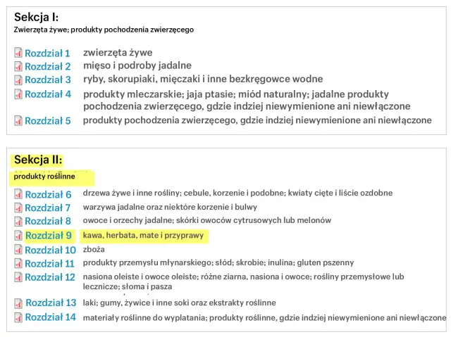 Kod CN - Jak poprawnie klasyfikować towary i uniknąć błędów?